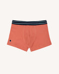 Boxer bleu marine & verts