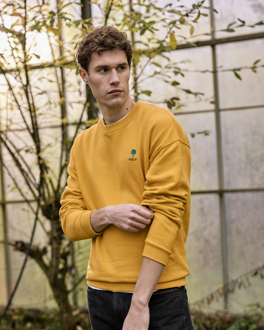 Sweat ocre