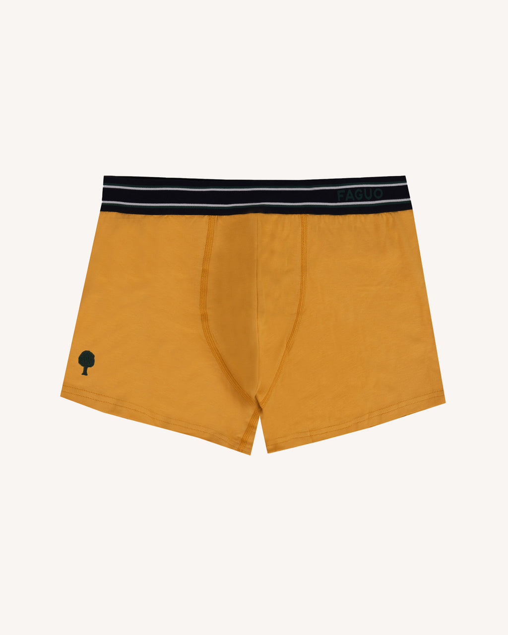 Light green & multicolour underwear 