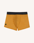 Light green & multicolour underwear 