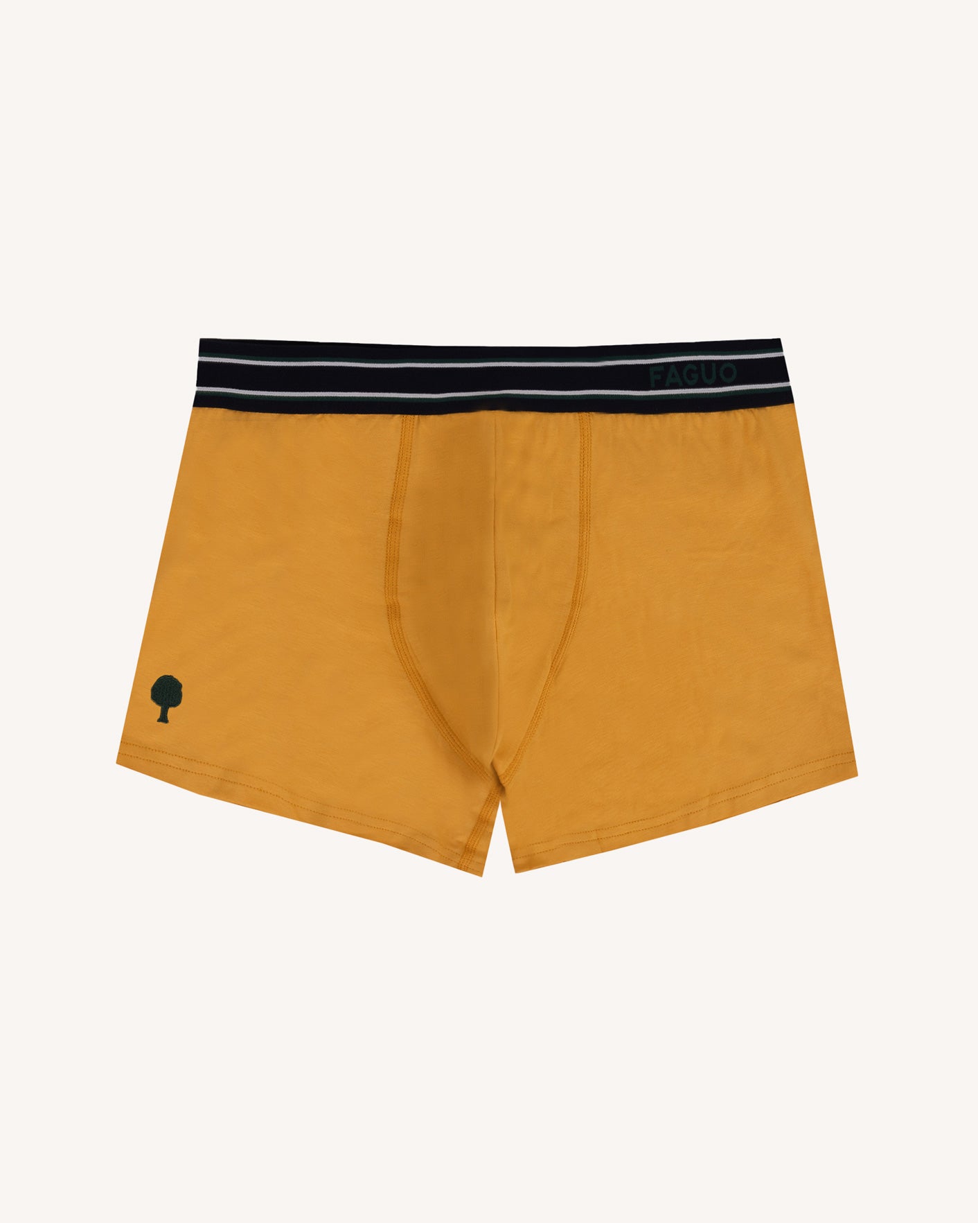 Light green & multicolour underwear 