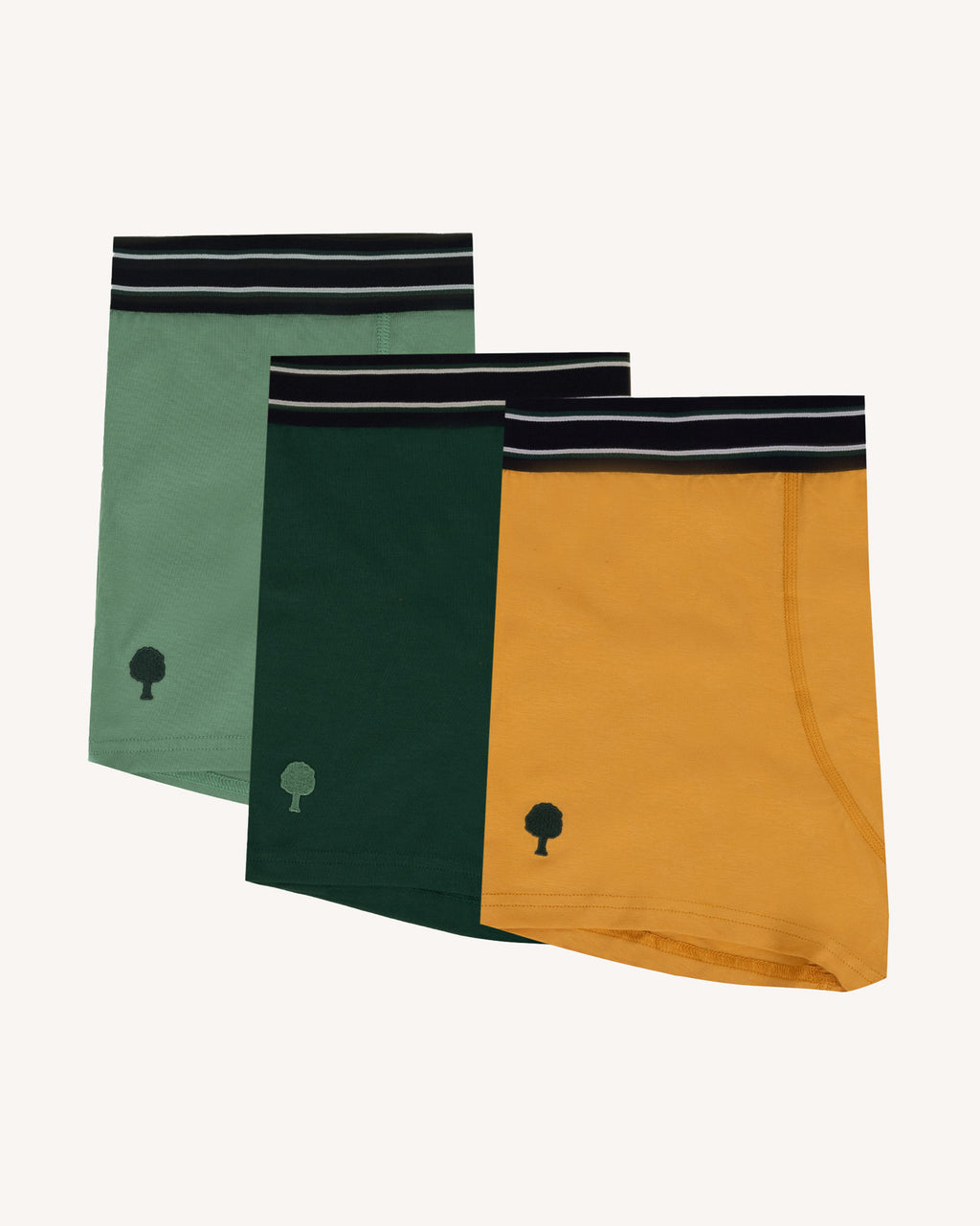 Light green & multicolour underwear 