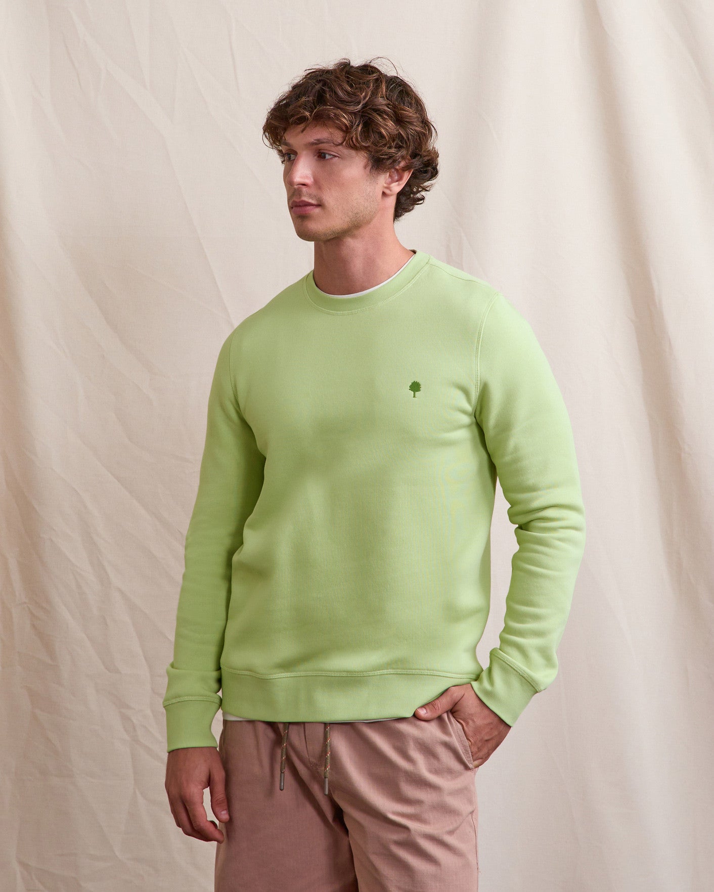 Sweat Donzy Maille Anis
