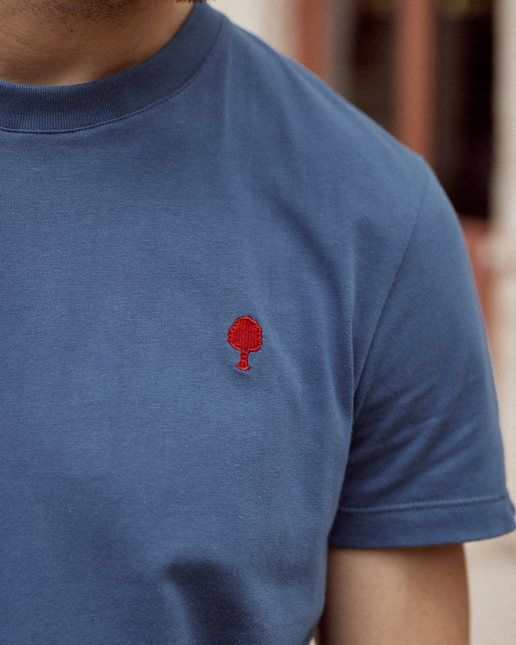 T-shirt mc Arcy Maille Washed navy
