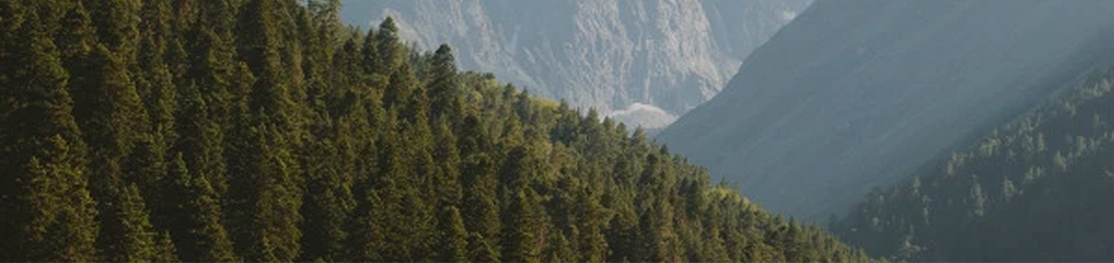 Forêts FAGUO