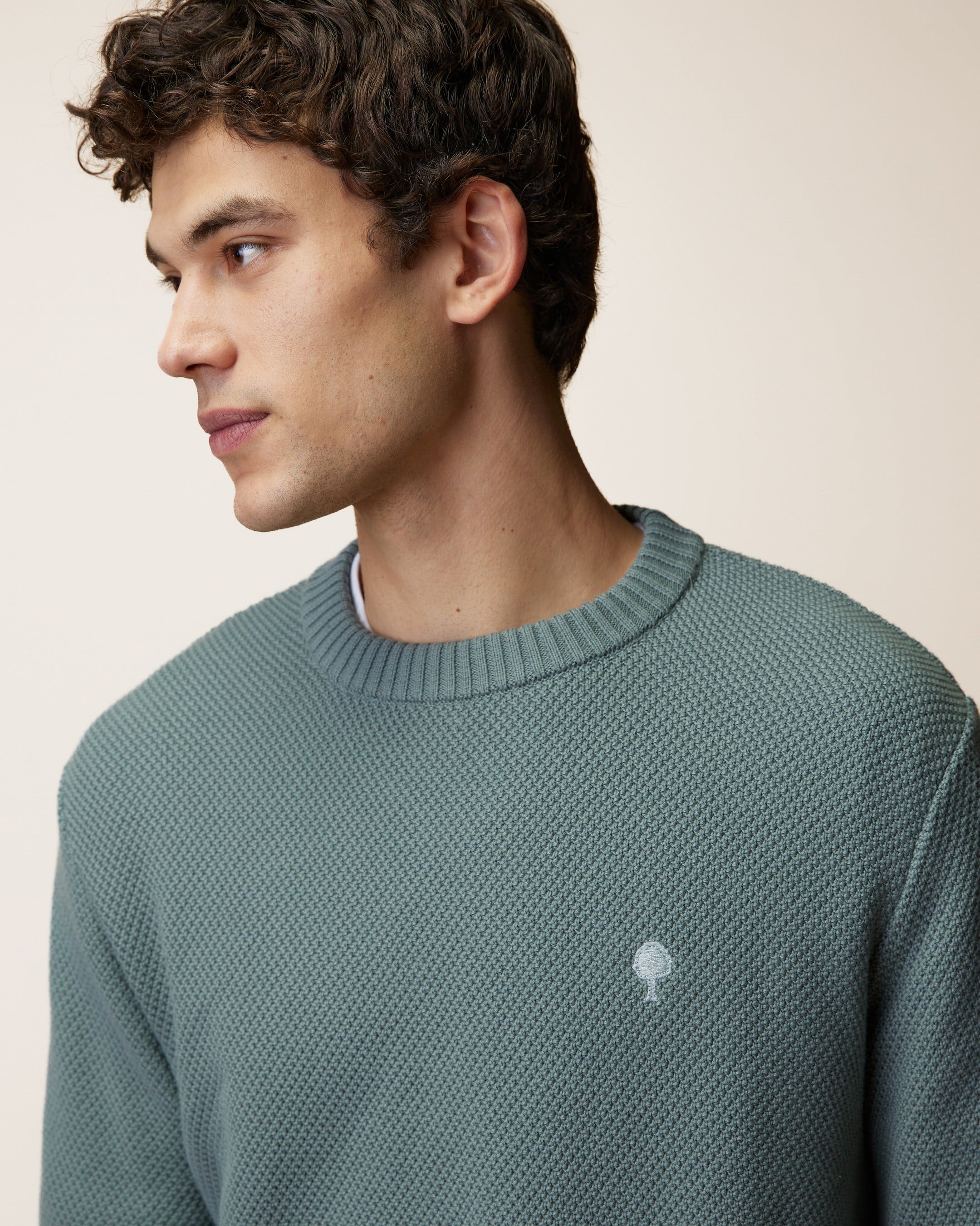 pull-vert-d-eau-cotonbiologique-modele-opale-S5