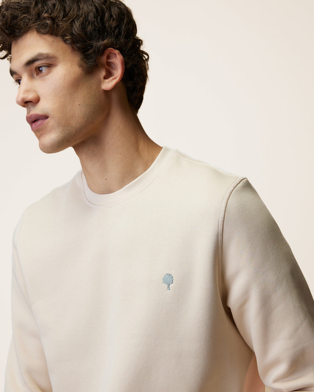 sweat-beige-fonce-coton-modele-donzy-S5