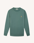 sweat-vert-clair-grise-coton-modele-donzy-P1_variant