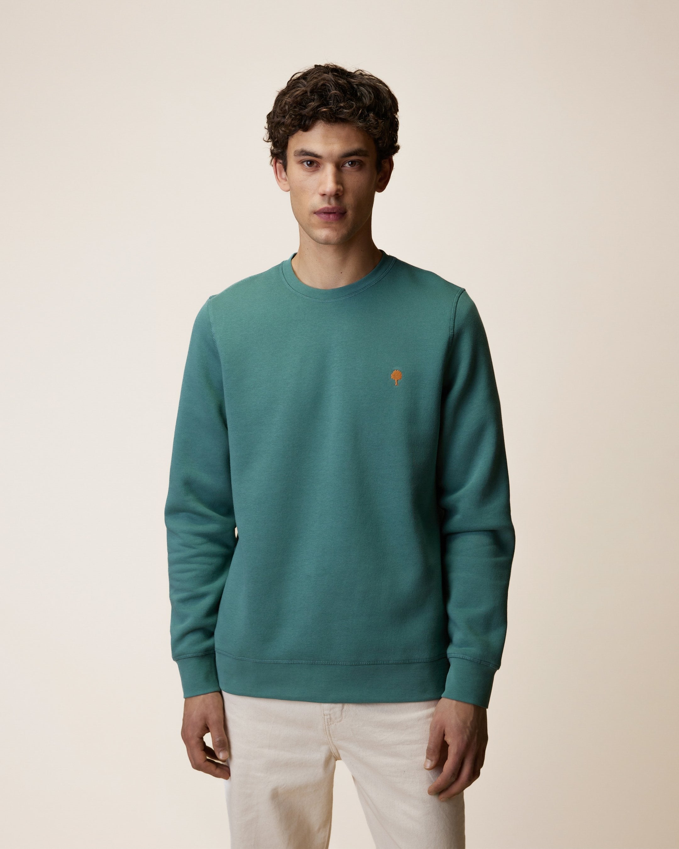 sweat-vert-clair-grise-coton-modele-donzy-S3