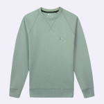 Light green sweatshirt in cotton and recycled cotton - Darney model